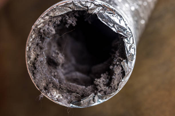 Best Air Duct Cleaning Near Me  in Muscoy, CA