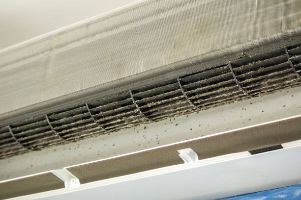 Best Air Quality Test  in Muscoy, CA